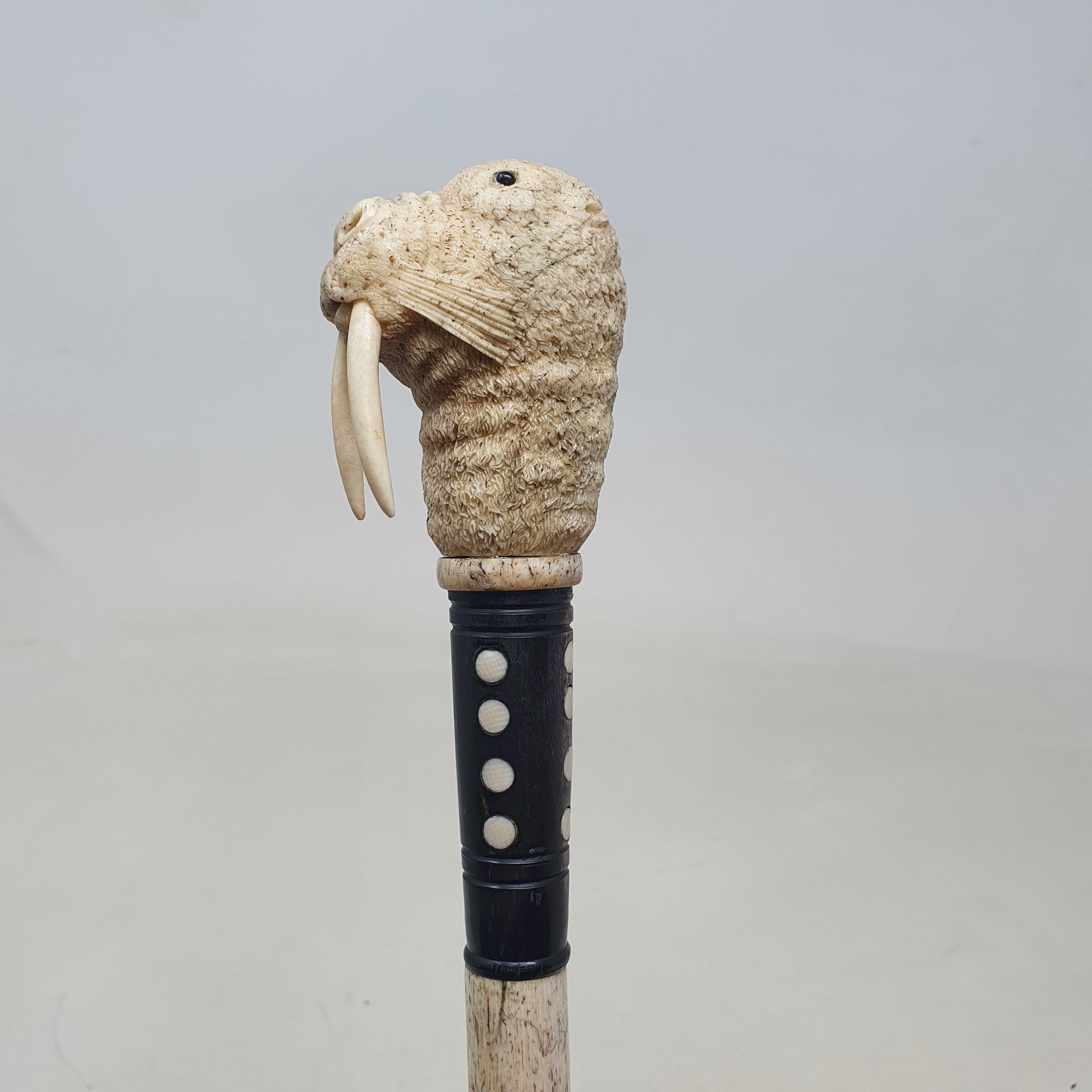 A 19th century marine ivory walking stick, the handle carved in the form of a walrus, on a whalebone - Image 4 of 11