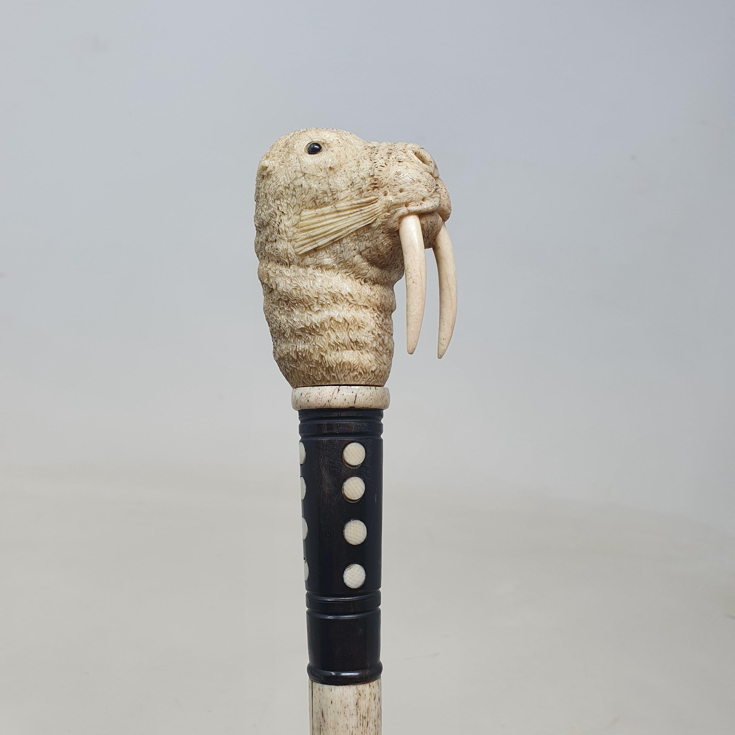 A 19th century marine ivory walking stick, the handle carved in the form of a walrus, on a whalebone - Image 3 of 11