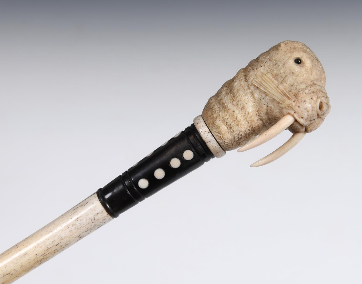 A 19th century marine ivory walking stick, the handle carved in the form of a walrus, on a whalebone