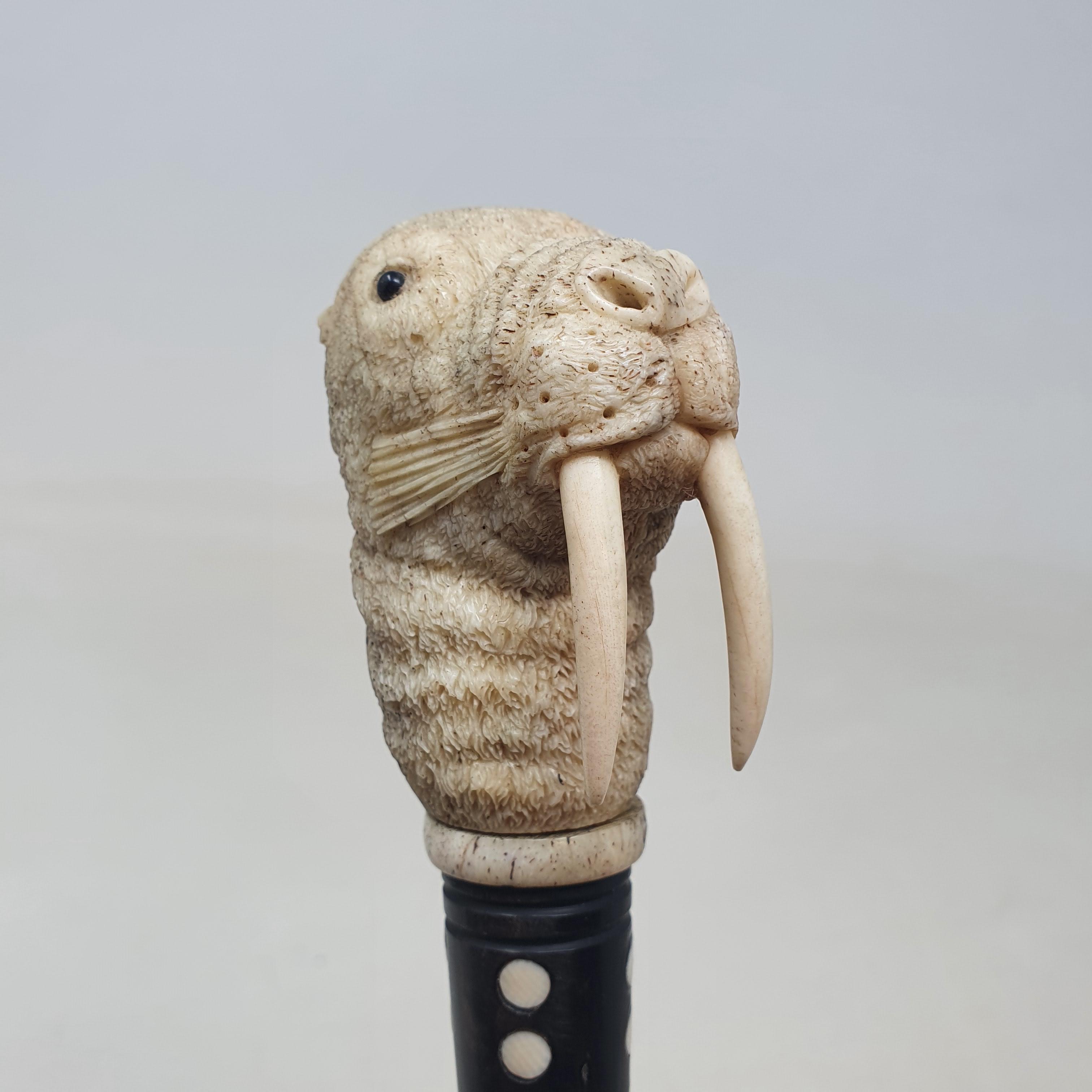 A 19th century marine ivory walking stick, the handle carved in the form of a walrus, on a whalebone - Image 9 of 11