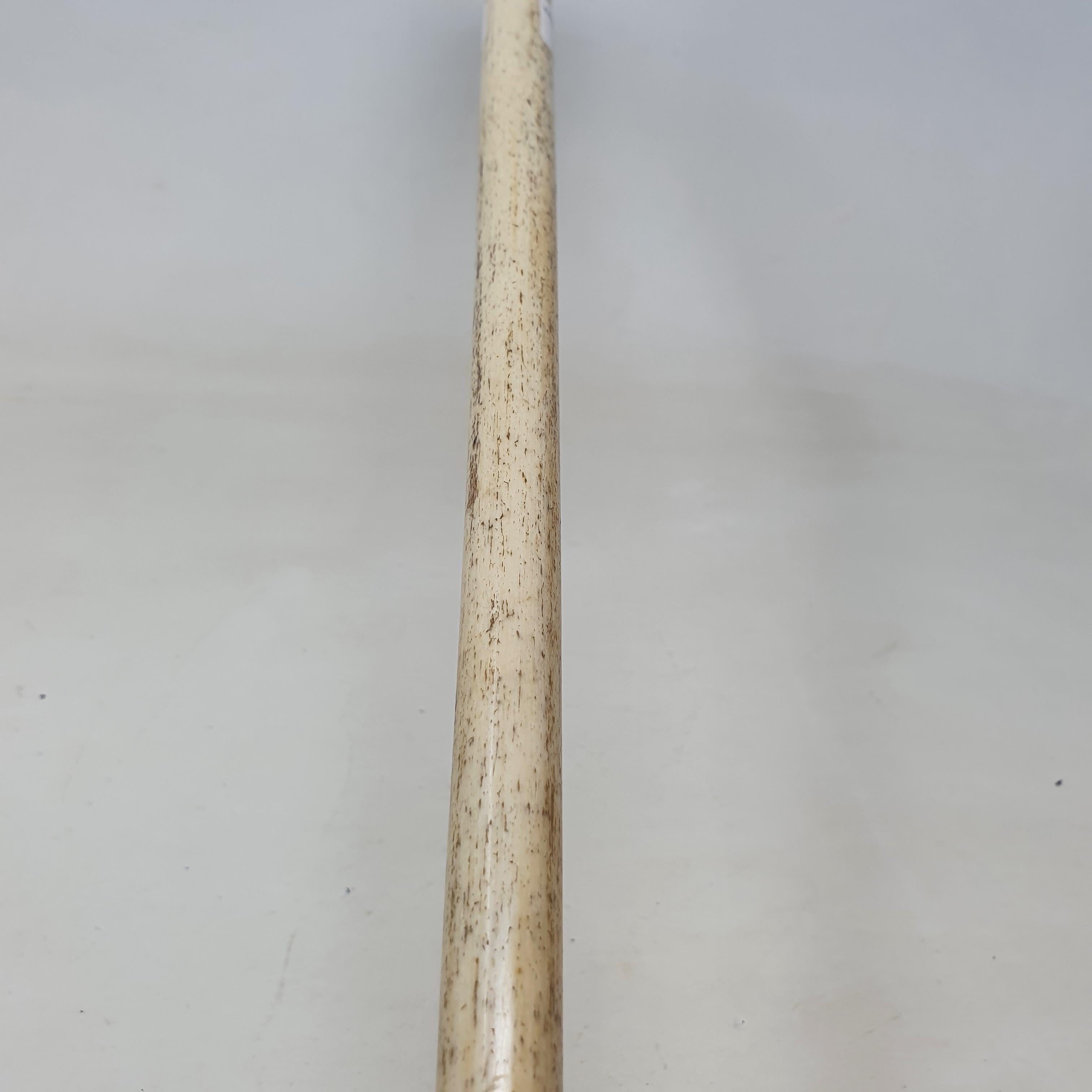 A 19th century marine ivory walking stick, the handle carved in the form of a walrus, on a whalebone - Image 10 of 11