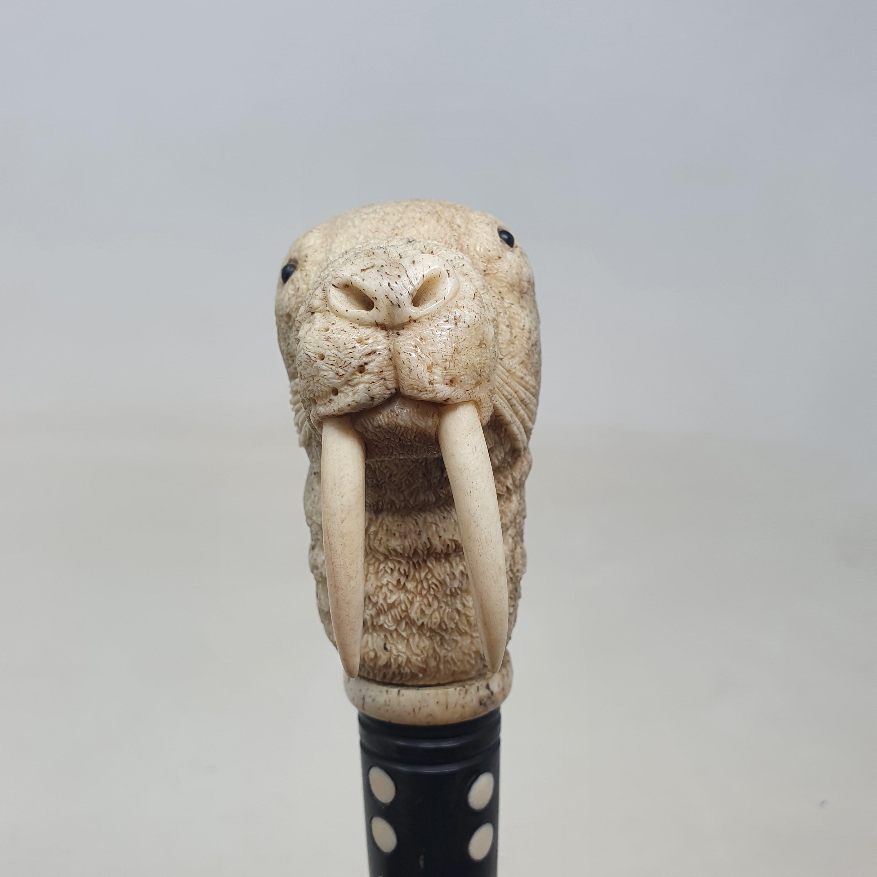 A 19th century marine ivory walking stick, the handle carved in the form of a walrus, on a whalebone - Image 5 of 11