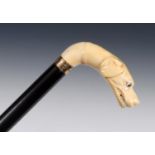 A 19th century walking stick, the carved ivory handle in the form of a growling dog, on ebony shaft,