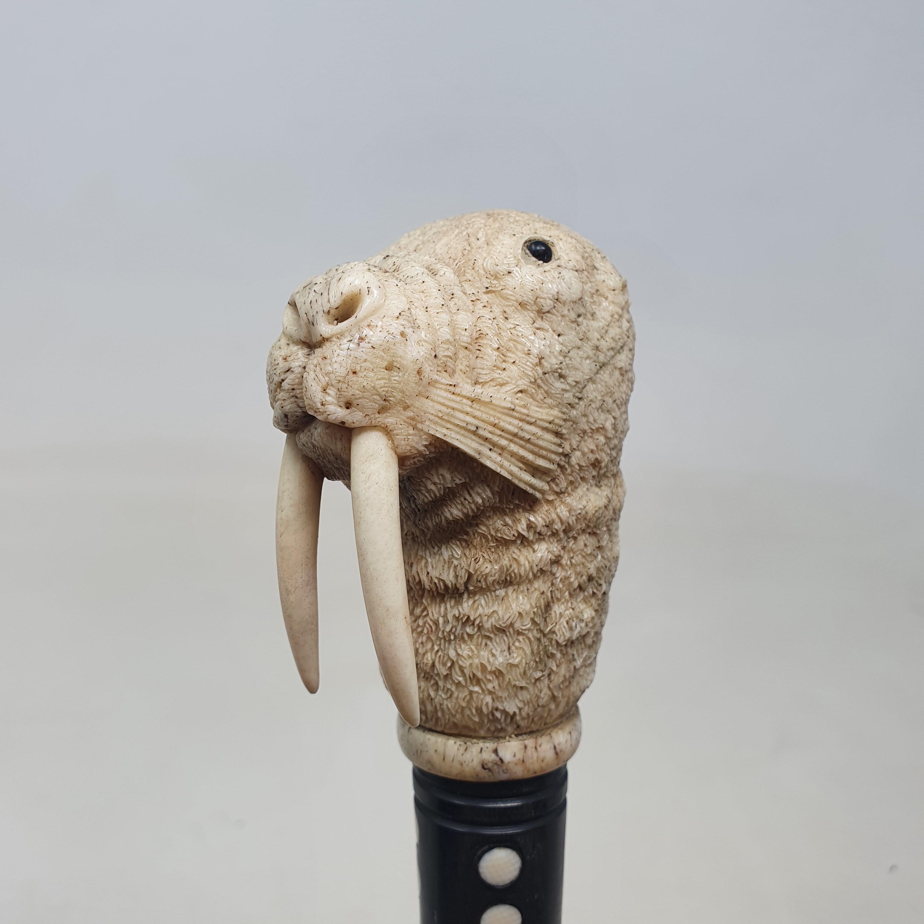 A 19th century marine ivory walking stick, the handle carved in the form of a walrus, on a whalebone - Image 6 of 11