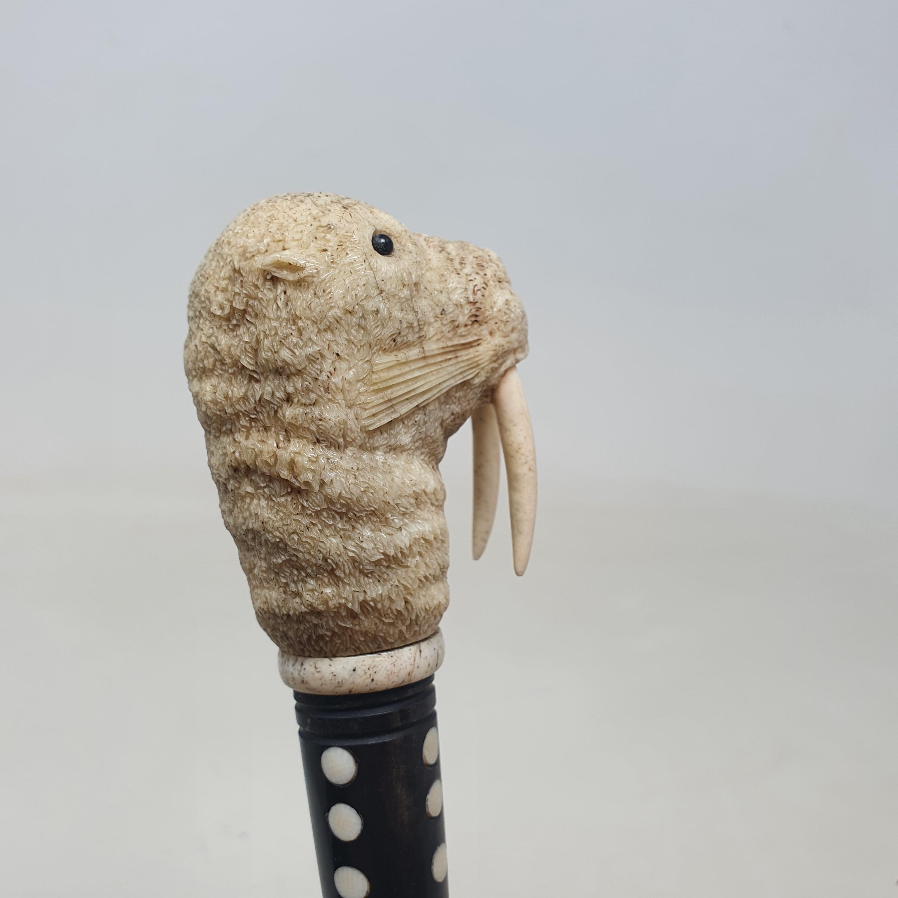 A 19th century marine ivory walking stick, the handle carved in the form of a walrus, on a whalebone - Image 8 of 11