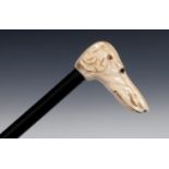 A walking cane, the ivory handle carved in the form of a dog's head