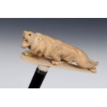 A 19th century walking stick, the ivory handle, in the form of a lion, on an ebonised shaft, 91 cm