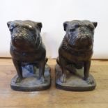 A pair of plaster bull dogs, on shaped bases, 47 cm high