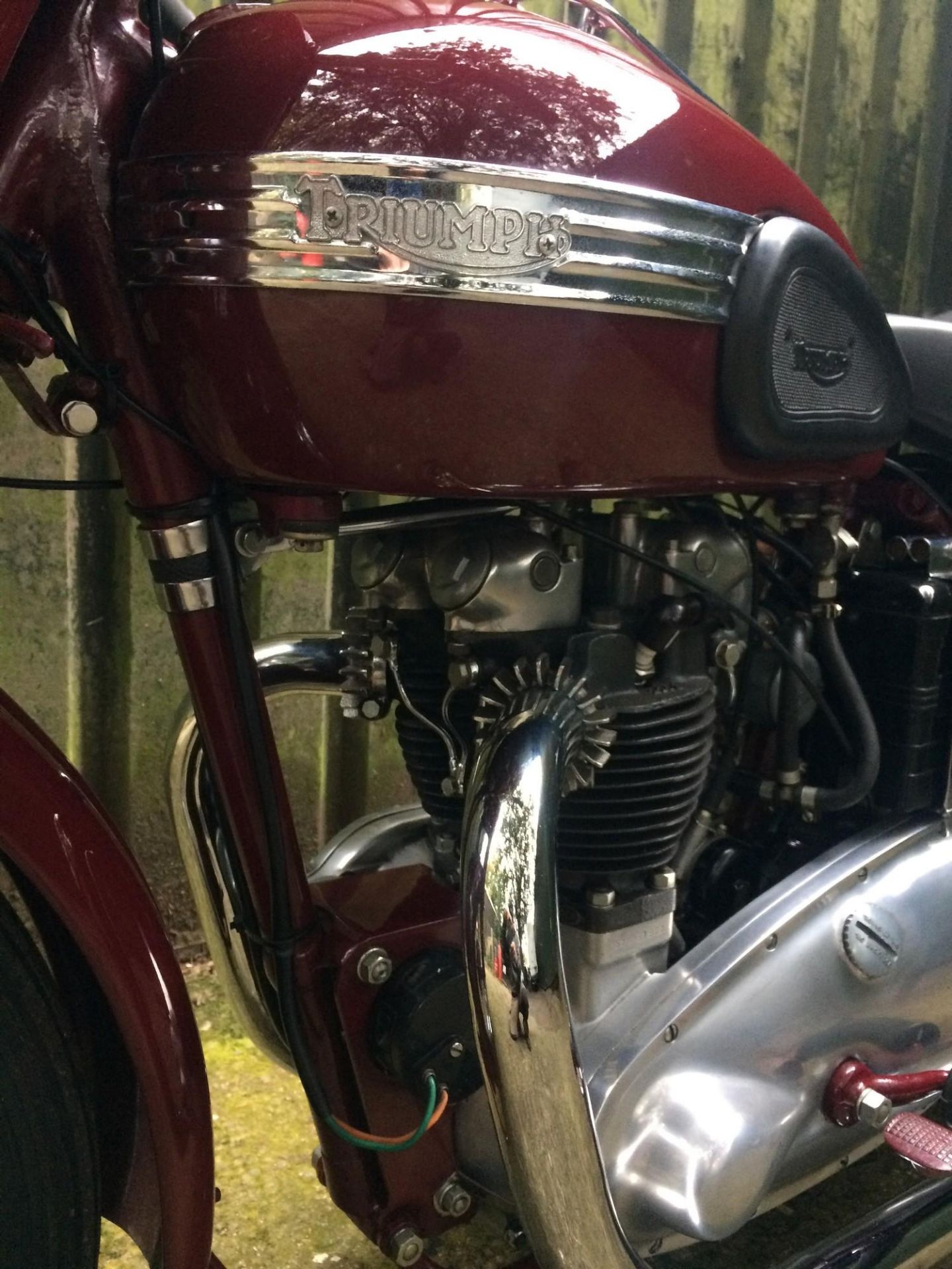 A 1952 Triumph Speed Twin Frame number 31900 Engine number 5T31900 Registration XVV 192 Supplied new - Image 16 of 21