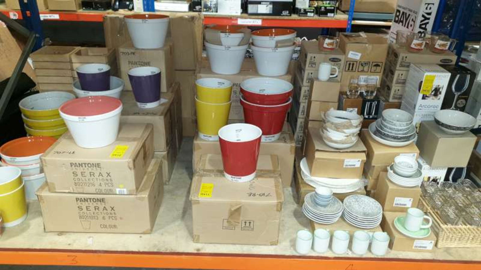 LOT CONTAINING 25 VARIOUS PANTONE PLANT POTS