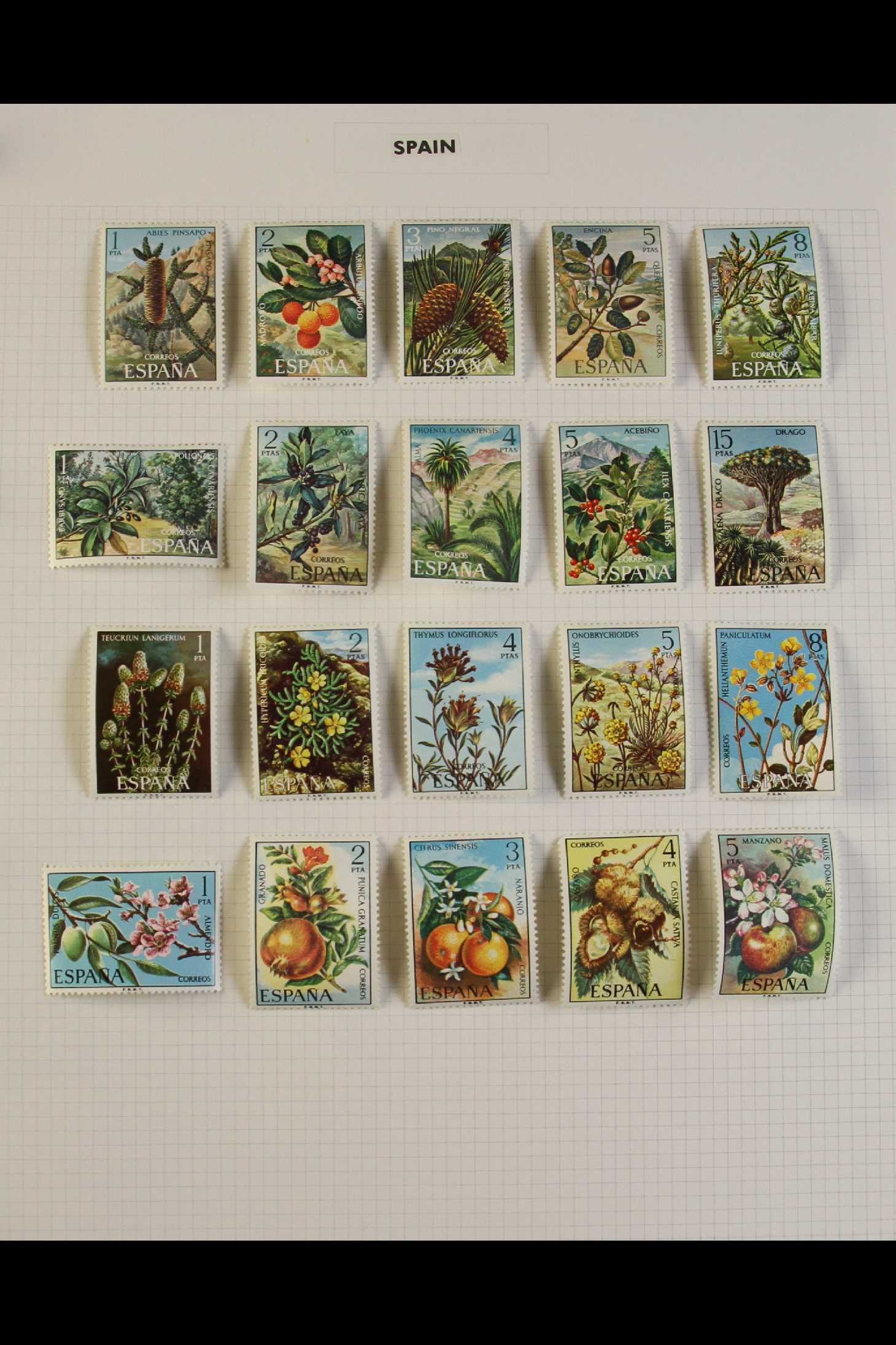 COLLECTIONS & ACCUMULATIONS FLOWERS ON STAMPS COLLECTION 1930's to 1980's fine mint collection in - Image 4 of 13