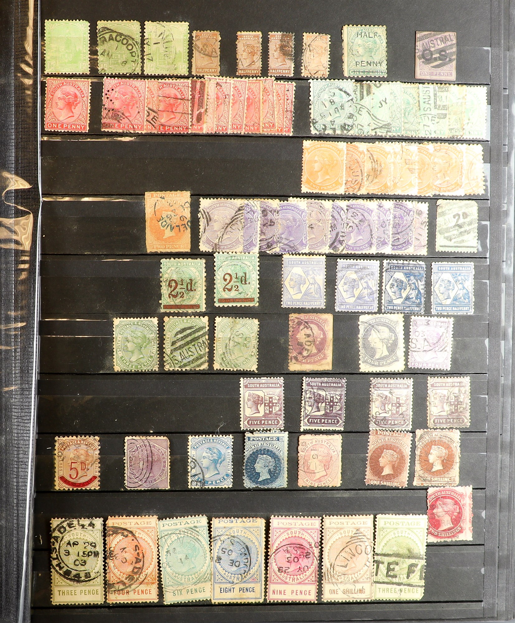 COLLECTIONS & ACCUMULATIONS GB, AUSTRALIA & STATES stamps in a large stock book with never hinged - Image 5 of 8