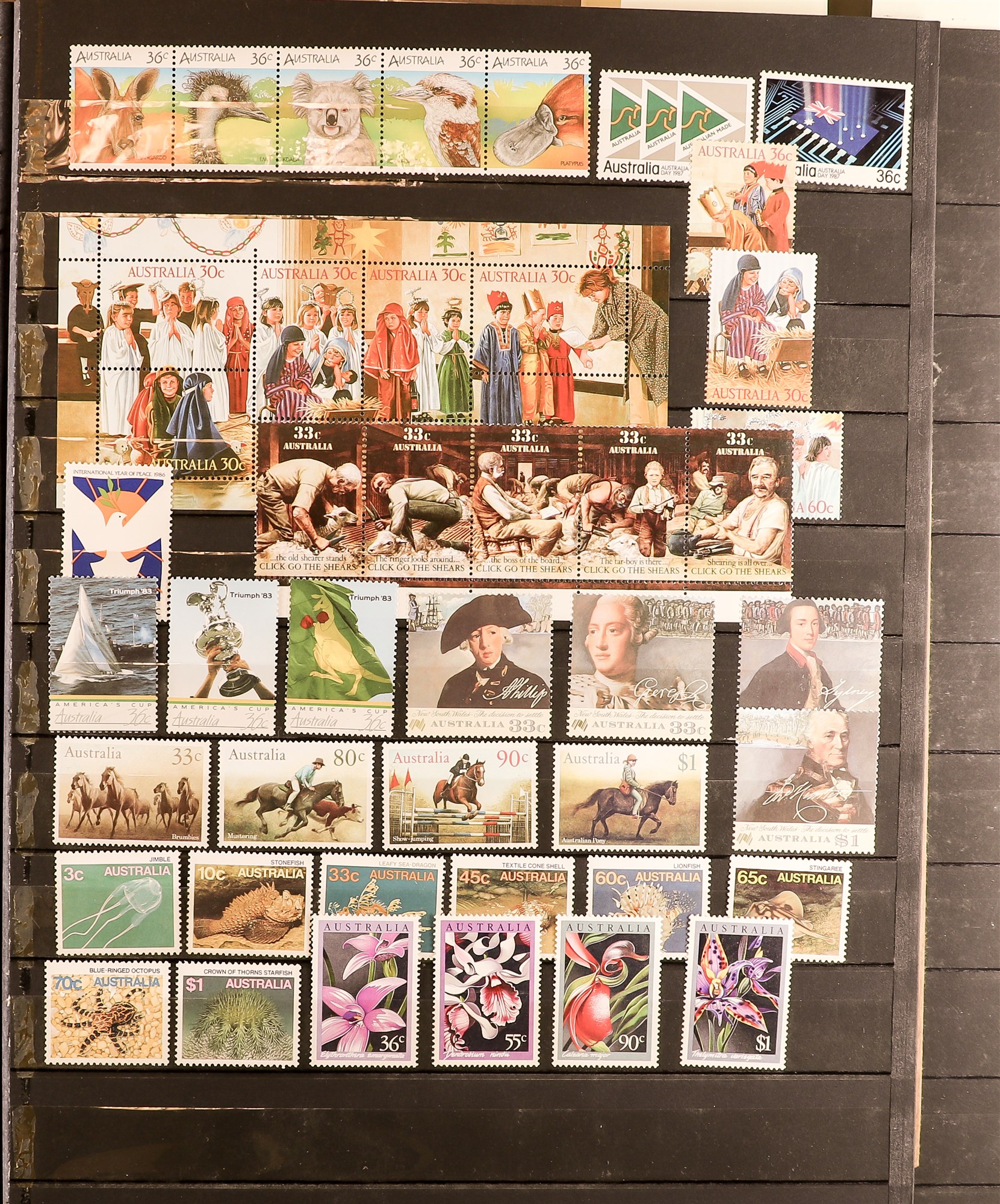 COLLECTIONS & ACCUMULATIONS GB, AUSTRALIA & STATES stamps in a large stock book with never hinged - Image 2 of 8