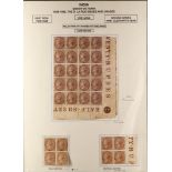 INDIA 1865 1a browns - exhibition sheet displays 1a deep brown (SG 59) block 20 from the lower-right