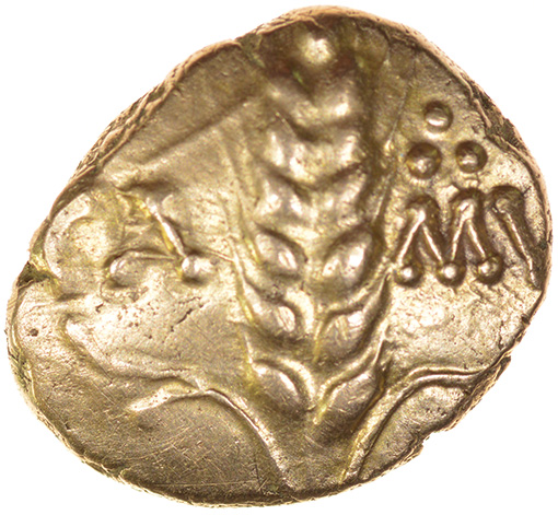 Cunobelinus Wild. Long Tendrils Type. c.AD8-41. Celtic gold stater. 14-17mm. 5.52g.