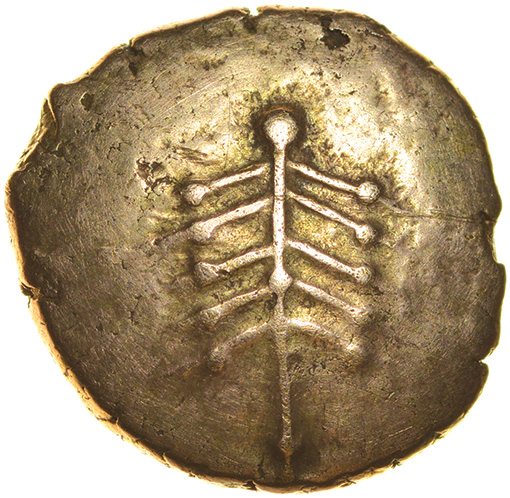 Eisu Tree. c.AD 20-43? Celtic gold stater. 16mm. 5.28g.