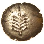 Catti Tree. c.AD 1-20? Celtic gold stater. 18mm. 5.36g.