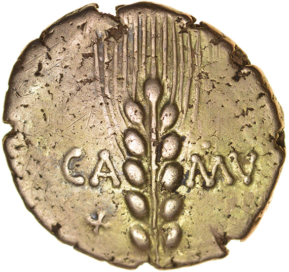 Cunobelinus Linear. X-Type. Sills class 2, dies 20/32. c.AD8-41. Celtic gold stater. 20mm. 5.32g.