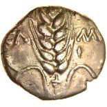 Cunobelinus (Agr?) No Branch Type. Sills class 4. c.AD 8-41. Celtic gold stater. 17-19mm. 5.33g.