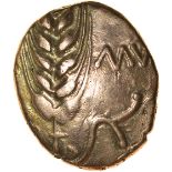 Cunobelinus (Agr?) No Branch Type. c.AD8-41. Cat & Trin. Celtic gold stater. 15-17mm. 5.32g.
