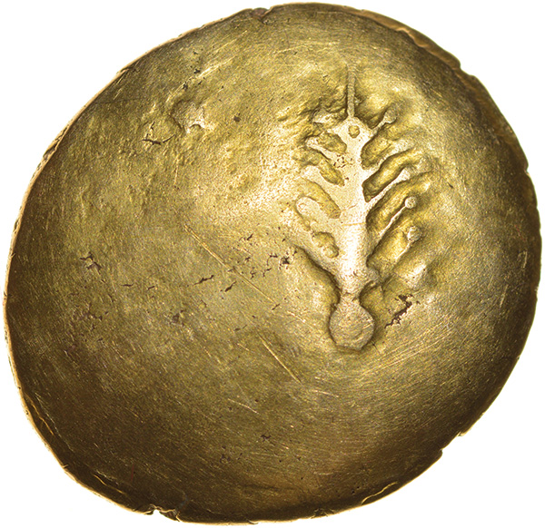 Tribal Tree. Small Type with Star. c.55-45 BC. Dobunni. Celtic gold stater. 18-20mm. 5.62g. - Image 2 of 2