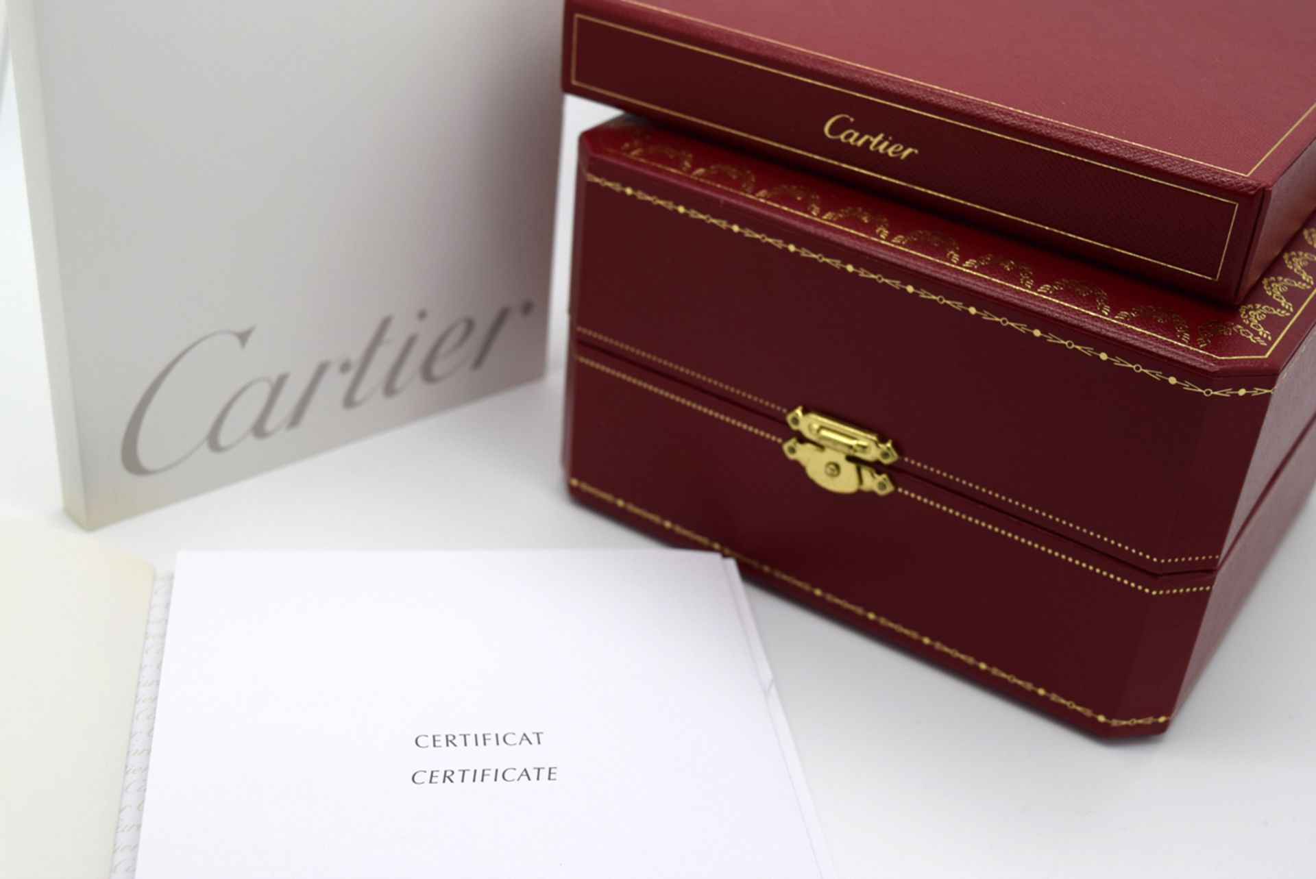 *STUNNING* CARTIER LADIES DEMOISELLE - STEEL with a MOTHER OF PEARL DIAL! (W25075Z5) - Image 11 of 13