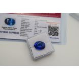 BLUE STONE WITH CARD MARKED BLUE NATURAL SAPPHIRE