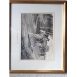 Monotone watercolour - Signed A J Munnings 98