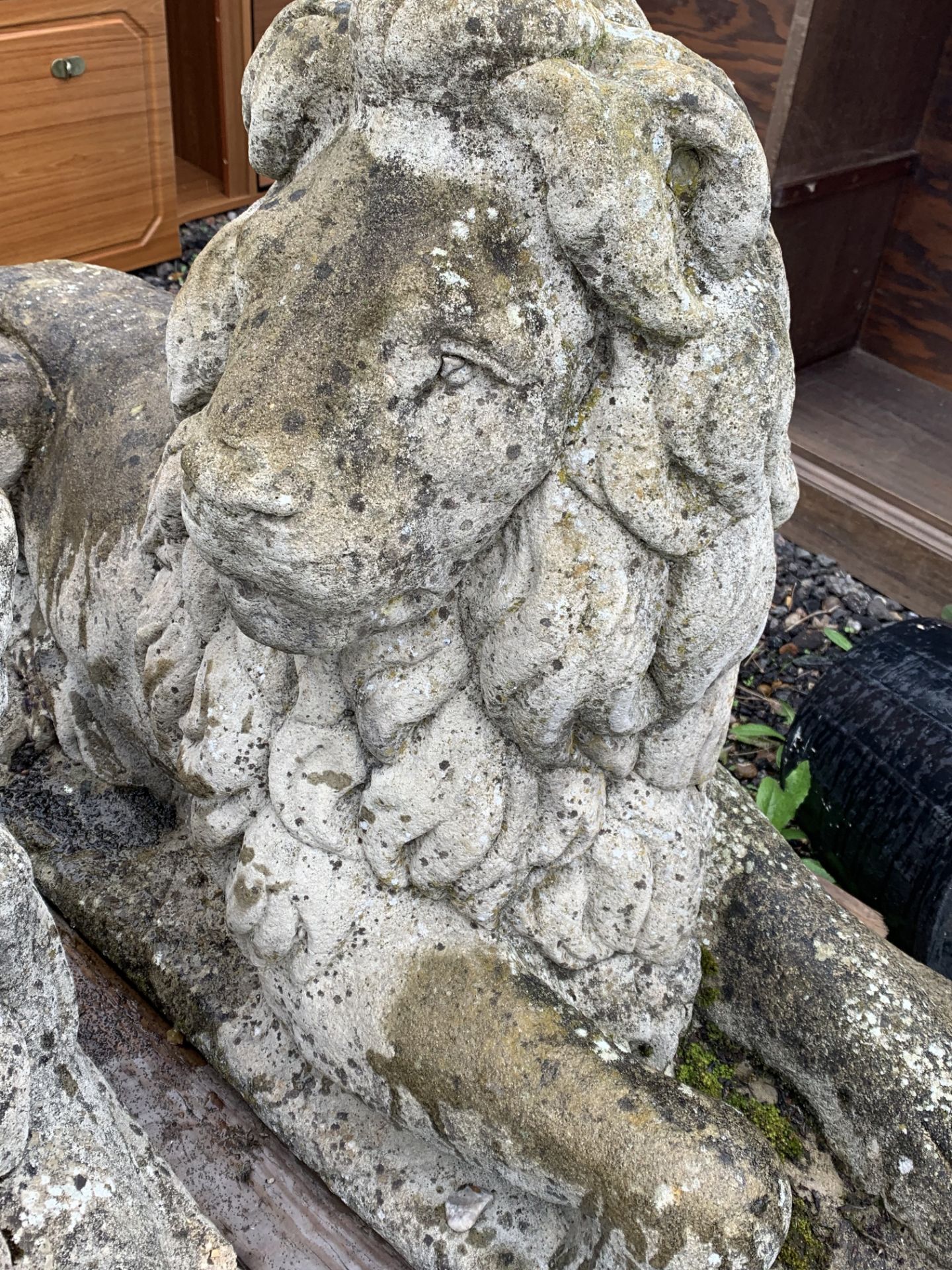 LOVELY PAIR OF LION GARDEN ORNAMENTS - Image 5 of 9