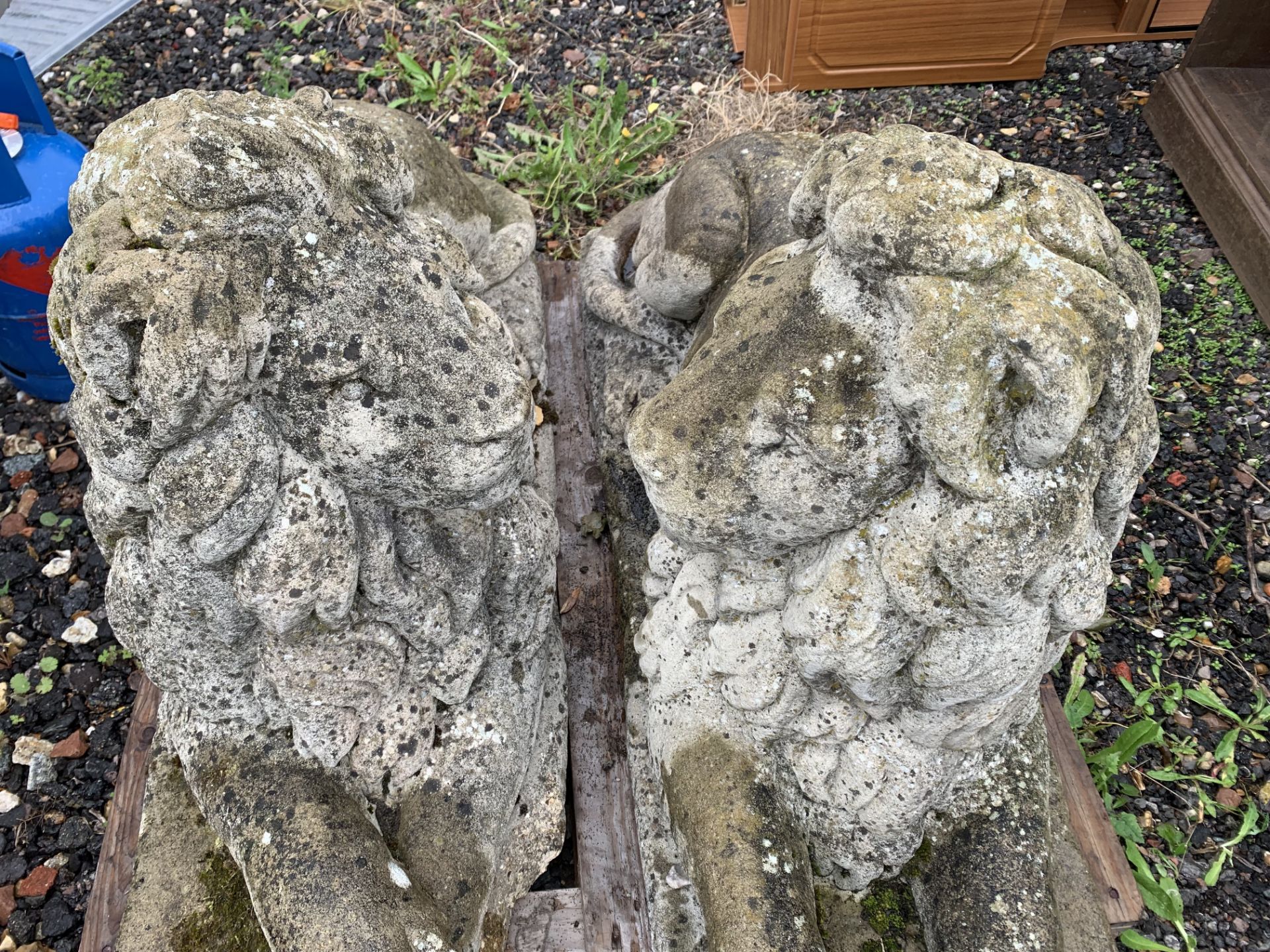 LOVELY PAIR OF LION GARDEN ORNAMENTS