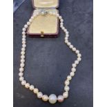 Pearl Necklace with Silver Clasp 18"