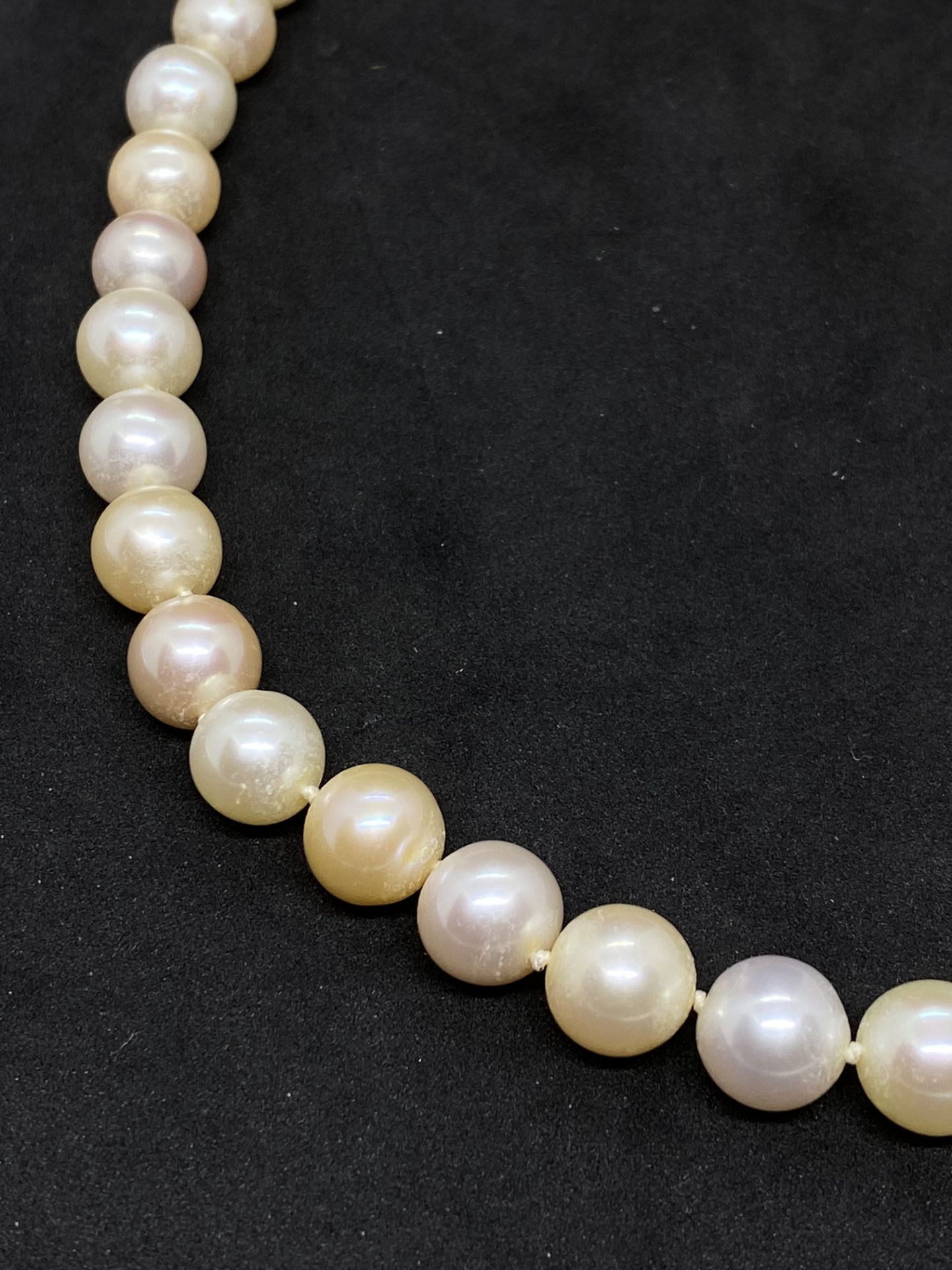 CULTURED SOUTH SEA PEARLS NECKLACE - Image 2 of 5