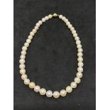 CULTURED SOUTH SEA PEARLS NECKLACE