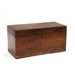 A 19th century mahogany two-division tea caddy, 27cms (10.5ins) wide.