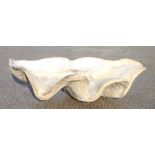 A large fibreglass clam shell, 136cms (53.5ins) wide.