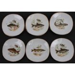 A quantity of Limoges plates, each decorated with fish, 23cms (9ins) diameter (12).