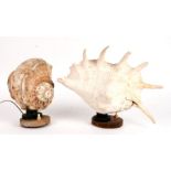 Two large sea shells converted to table lamps (2).