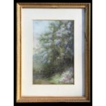 20th century school - Willow Tree in Blossom over a River - pastel, framed & glazed, 31 by 48cms (