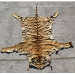 Taxidermy - A large early 20th century Indian Tiger skin rug with flattened head on suede/leather