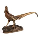 A cast bronze study of a golden pheasant, 13cms (5ins) high.