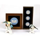 Two Karl Ens porcelain bird figures, the largest 13cms (5ins) high; together with framed Wedgwood