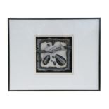 Visionality Designs - American contemporary collage and fossil art work, framed & glazed.