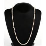A faux pearl necklace with 9ct gold clasp, 63cms (24.75ins) long.