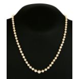 A string of cultured pearls with 9ct gold clasp, 43cms (17ins) long.