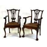 A pair of Georgian style mahogany carver chairs with drop-in upholstered seats, on cabriole front