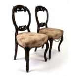 A pair of Victorian mahogany balloon back dining chairs with upholstered seats, on cabriole front