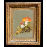 20th century school - Still Life of Fungi - monogrammed 'HD', oil on panel, framed, 14 by 20cms (5.5