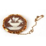 A yellow metal mounted oval cameo brooch depicting Pliny's Doves, with safety chain, 4cms (1.6ins