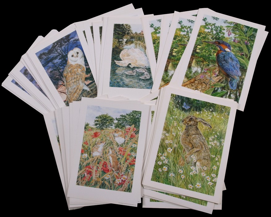 Approximately 200 prints mainly Victorian advertising prints and modern wildlife prints. - Image 3 of 6