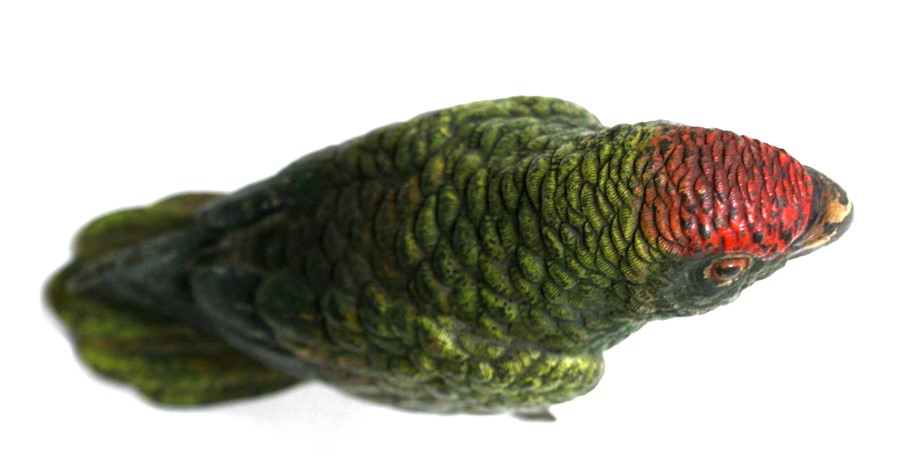 A large cold painted Vienna bronze figure of a parrot, 9cms (3.5ins) high.Condition Report Loss of - Image 7 of 7